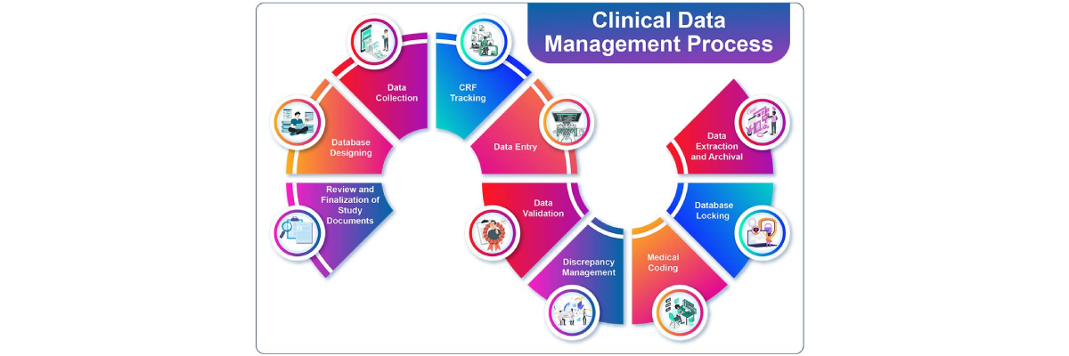 Clinical Data Management Process